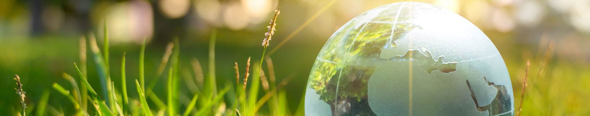 The world is in the grass of the green bokeh background.