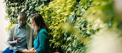 Businessman and woman sitting in front of green plant wall, using laptop