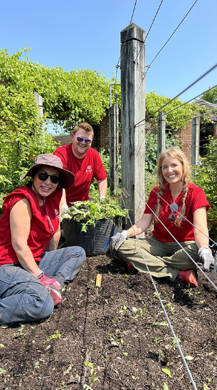 UL Solutions employees planting plants near a fence