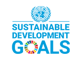 SDG logo